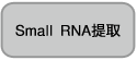 Small RNA提取